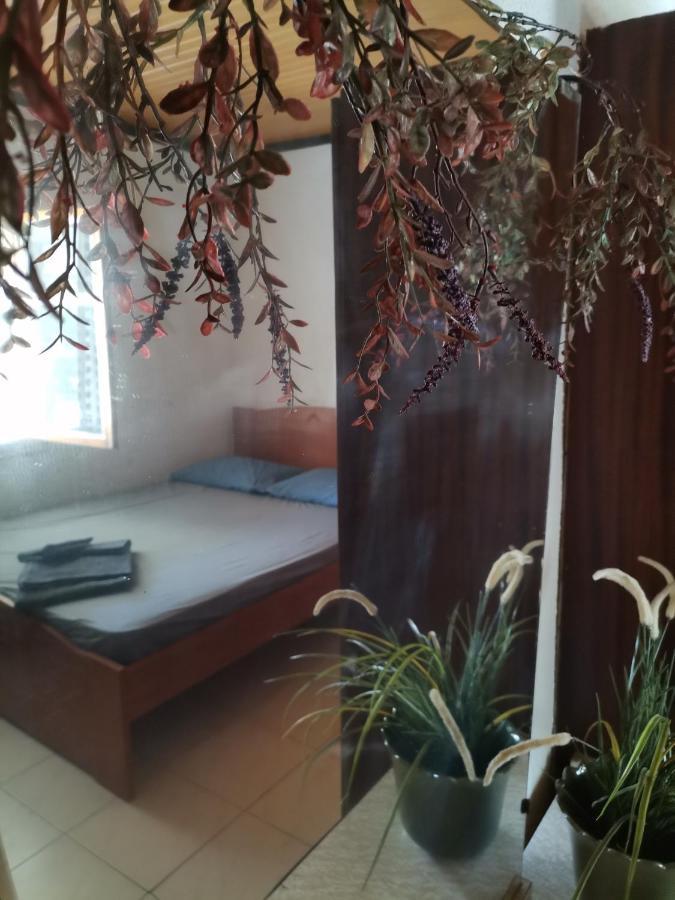 Green Vila Sozopoli Dış mekan fotoğraf